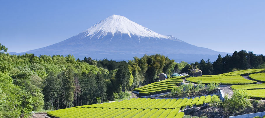 Rondreis japan en Uitzicht op Mount Fuji