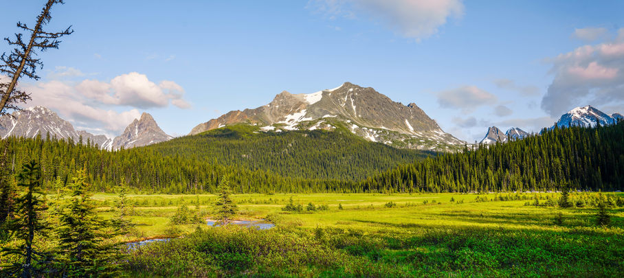 Rondreis West-Canada Tonquin Valley, Jasper National Park