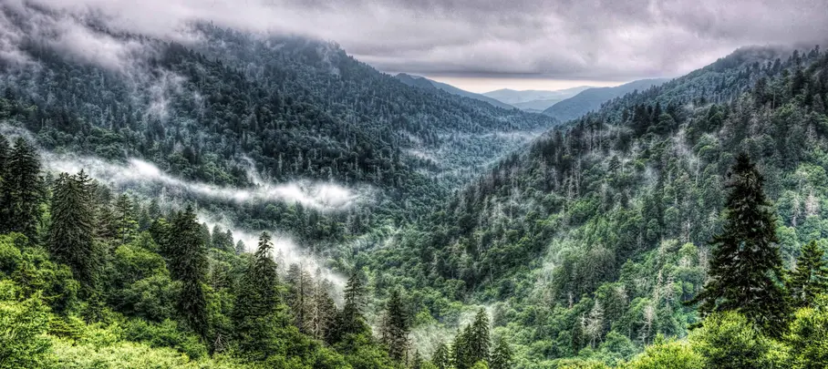 Great Smoky Mountains