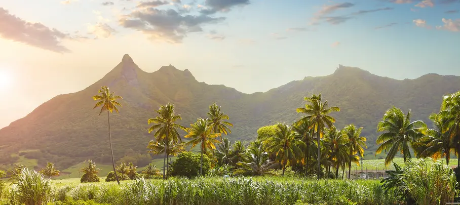 Suikervelden op Mauritius