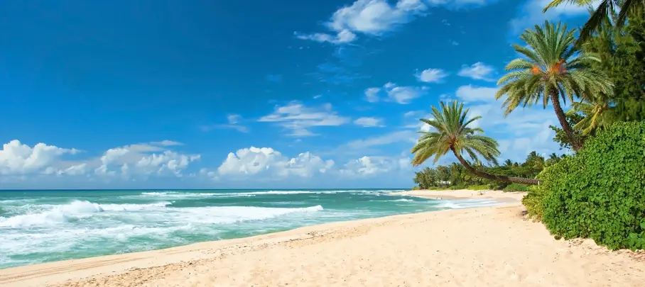 Zandstrand op Maui, Hawaii