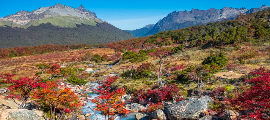Tierra del Fuego National Park, Vuurland
