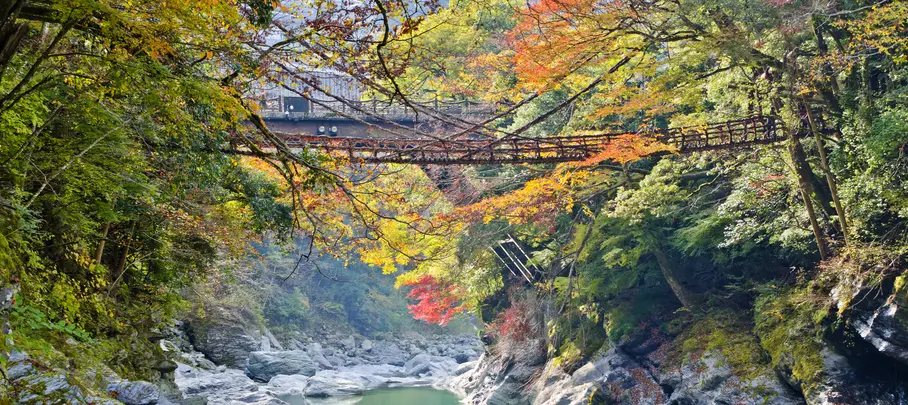 Kazurabashi Bridge, Iya Valley