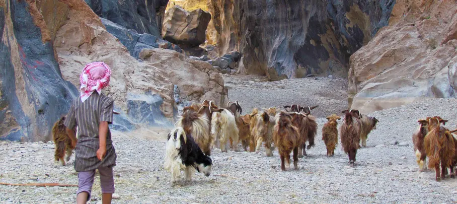 Herdertje met zijn geiten in de Snake Canyon