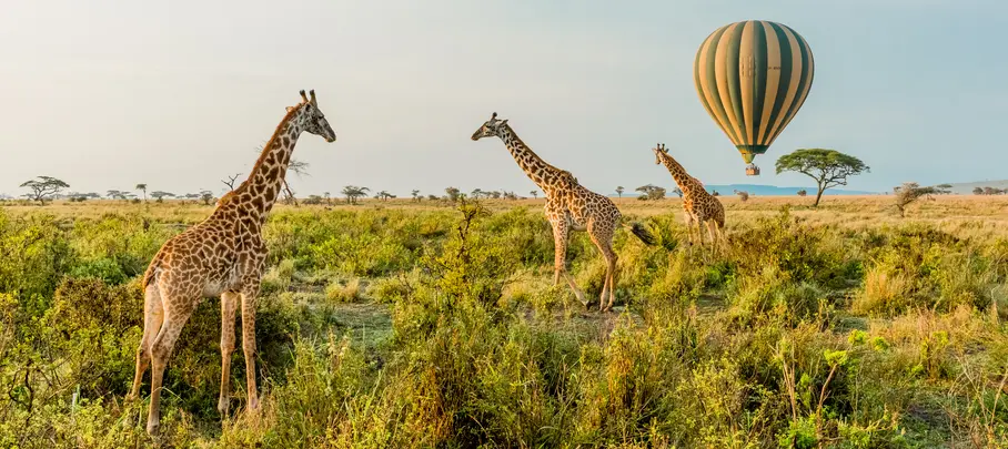 Luchtballonvaart boven Serengeti, Tanzania