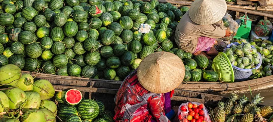 Drijvende markt, Mekong River Delta