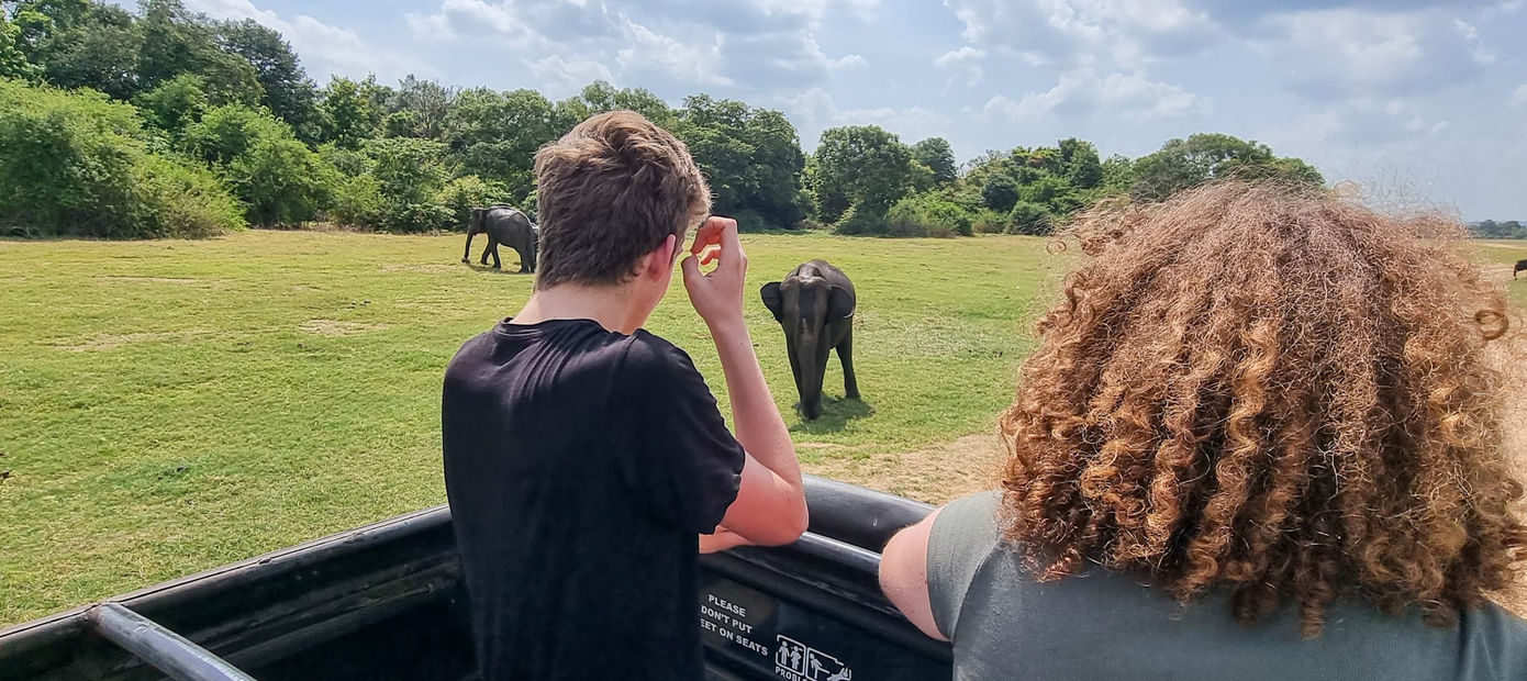 Olifanten spotten in Kaudulla National Park