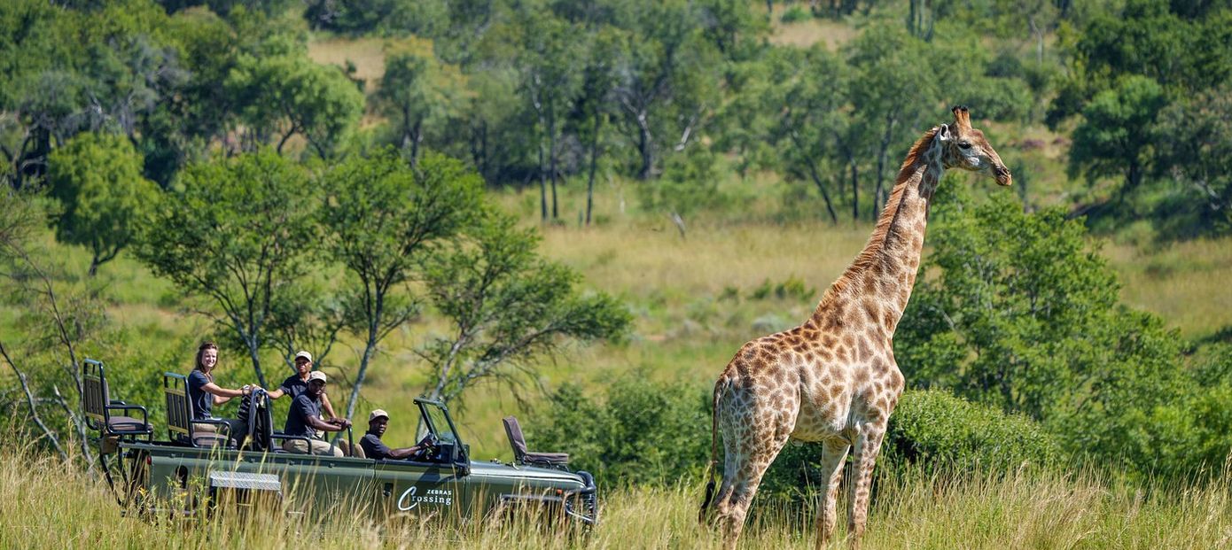 Op safari in Waterberg