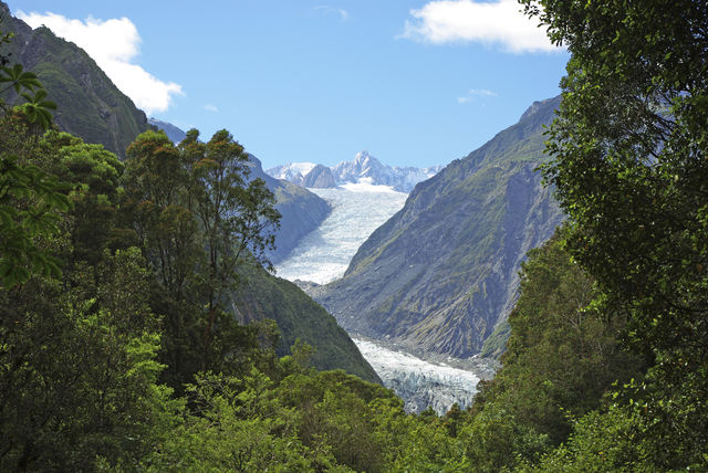 Franz Josef Glacier
