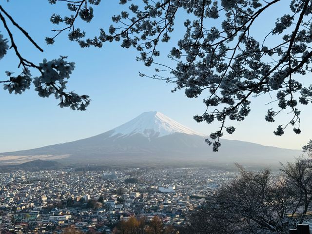 Mount Fuji