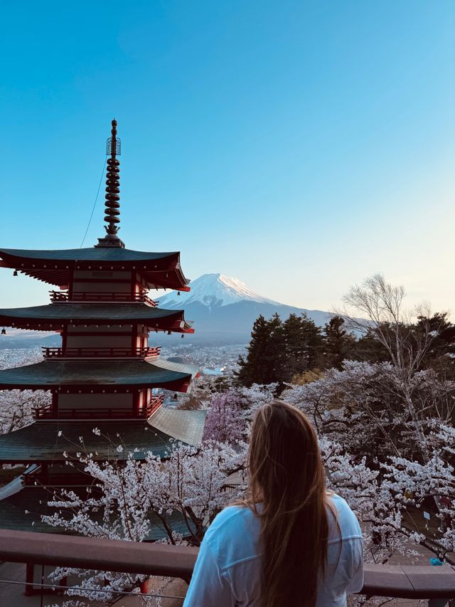 Uitzicht op Mount Fuji