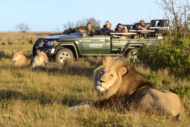 Safari in het Kariega Game Reserve