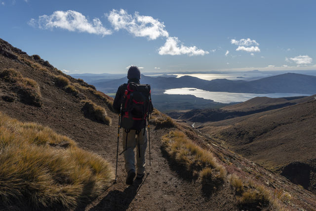 Tongariri Crossing