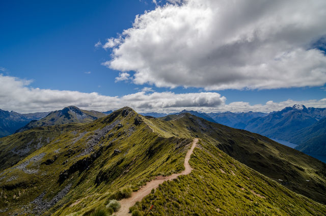 Kepler Track