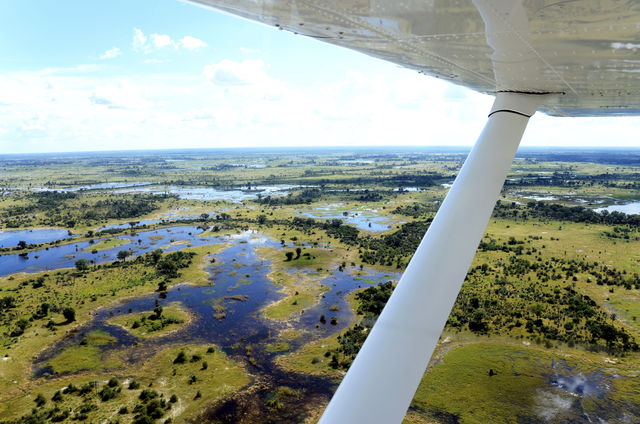 Vliegen boven de Okavango Delta in Botswana