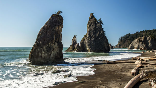 Kust was Washington State