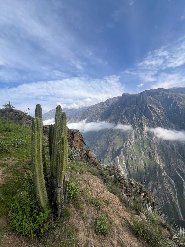 Colca Canyon in Peru