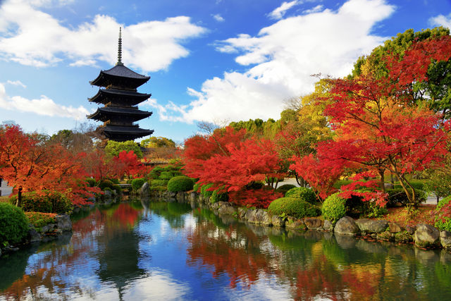 To Ji Pagode in Kyoto, Japan