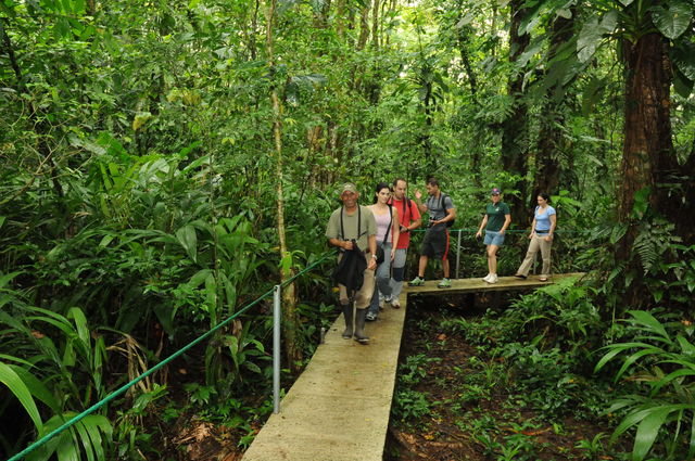 Wandeling in Tortuguero