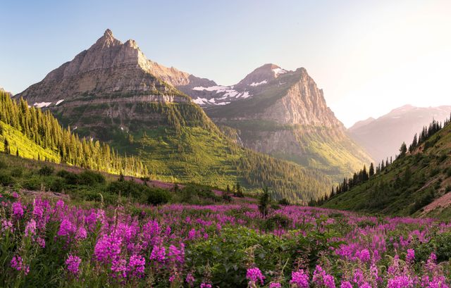 Uitzicht in Glacier National Park, Amerika