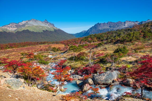 Tierra del Fuego National Park, Vuurland