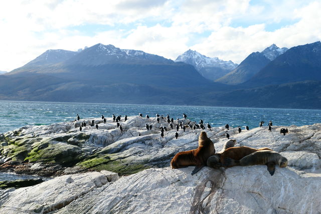 Beaglekanaal, Ushuaia, Patagonië