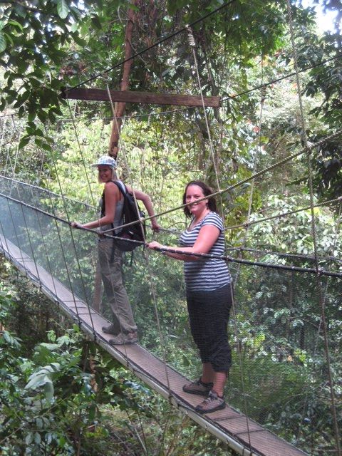 Canopy Walkway in Borneo