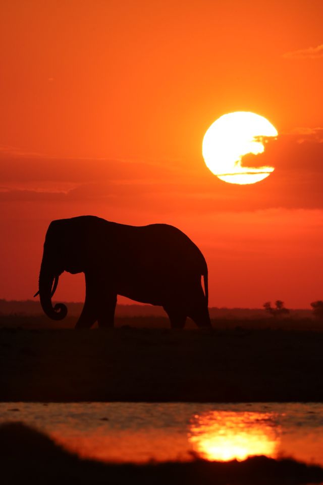 Zonsondergang in Chobe