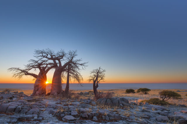 Kubu Island, Makgadikgadi Pans