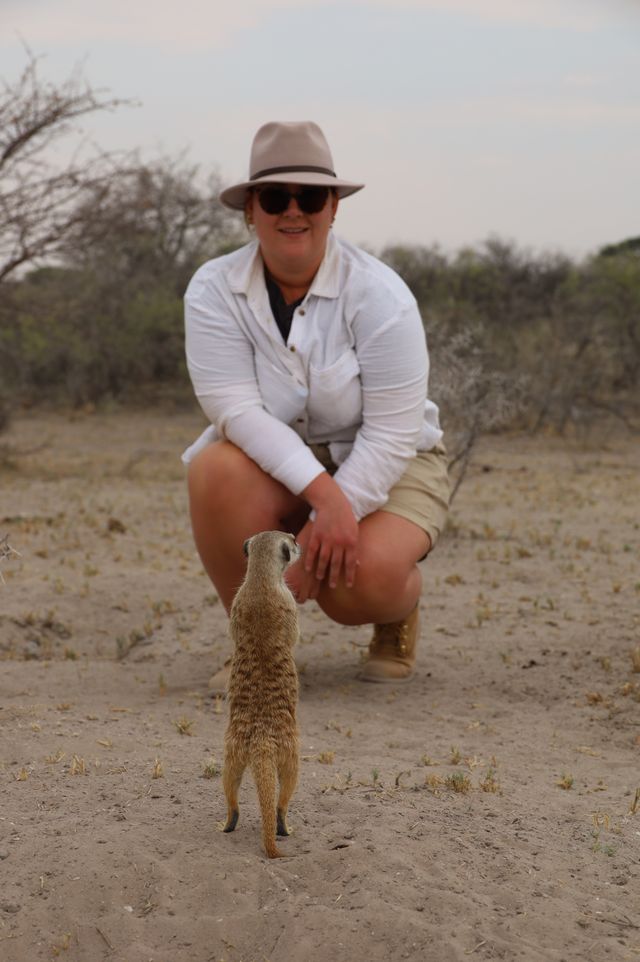 Stokstaartje in Makgadikgadi