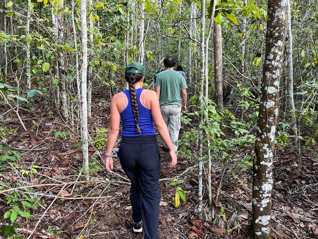 Jungle wandeling