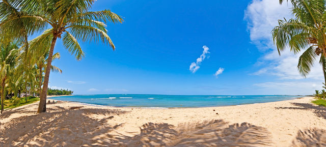 Praia do Forte