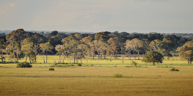 Araras Lodge, Pantanal