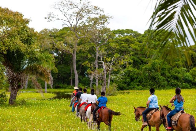 Paardrijden in de Pantanal