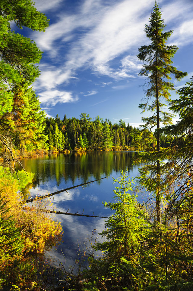 Algonquin Provincial Park