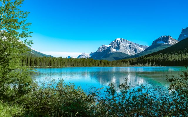 Bow Lake aan de Icefields Parkway