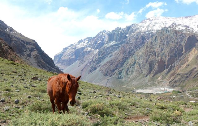Vallei van Cajón del Maipo