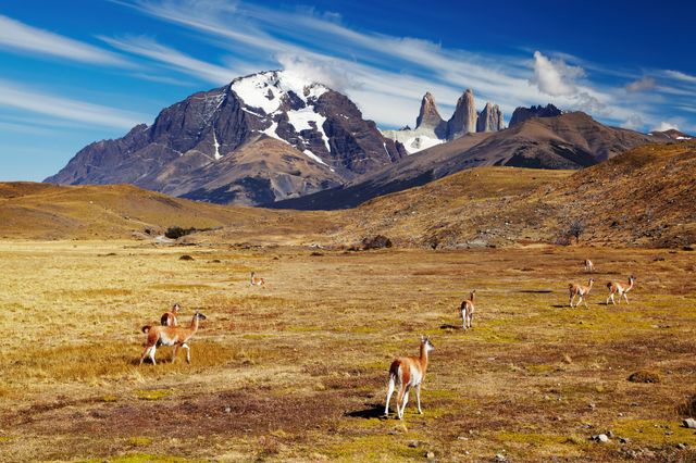 Torres del Paine