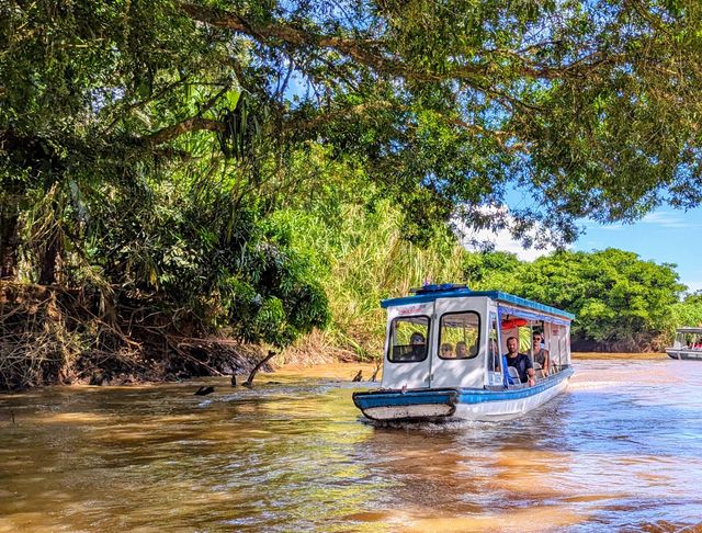 Met de boot over de rivier naar Tortuguero