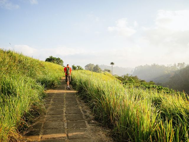 Campuhan Ridge Walk in Ubud