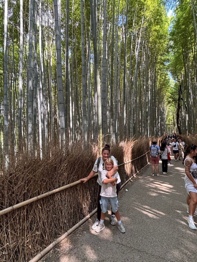 Bamboebos in Kyoto