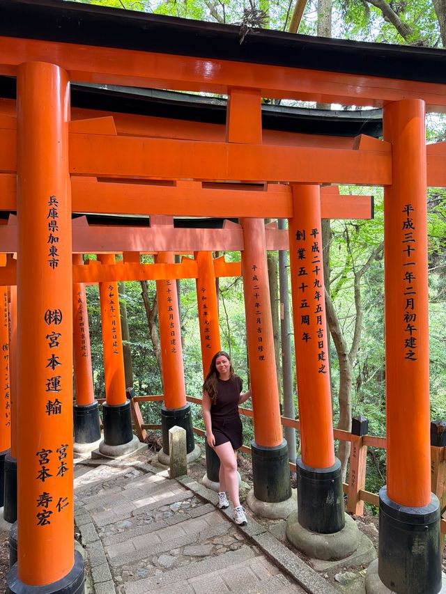 Torri poorten in Kyoto