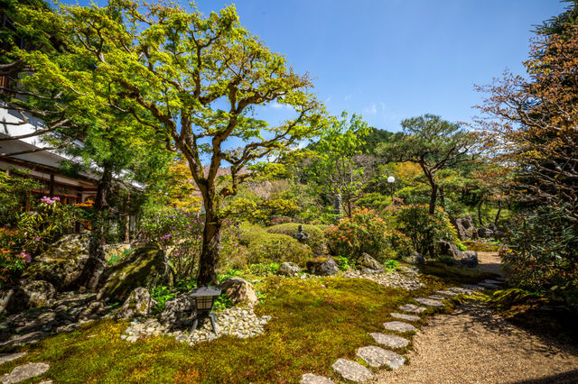 Mount Koya spirituele tuin