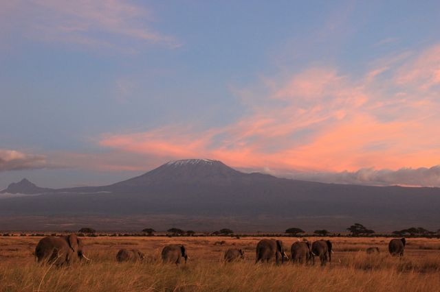 Zonsondergang voor de Kilimanjaro in het Amboseli National Park