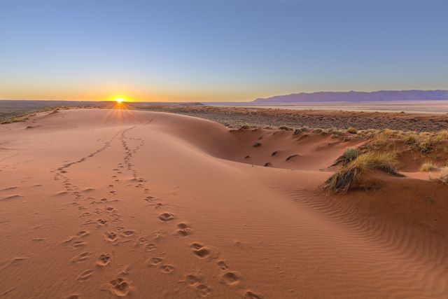 Zonsopkomt in Kalahari