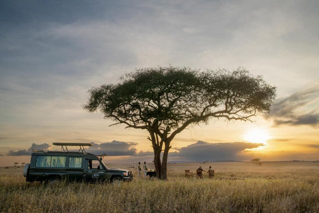 Safari bij zonsondergang in Serengeti