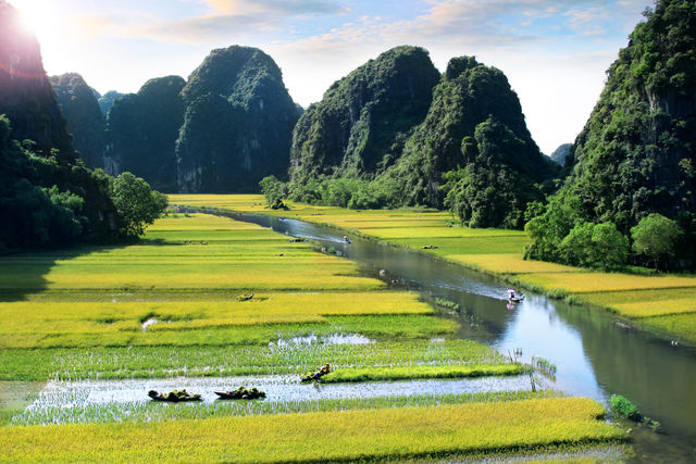 Rijstvelden van Ninh Binh