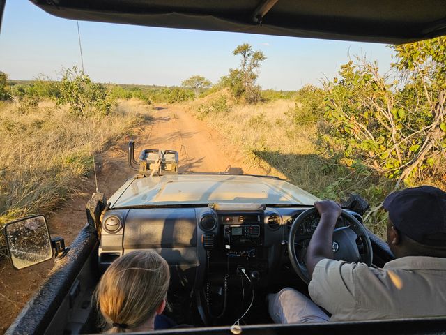 Op safari in Manyeleti Game Reserve