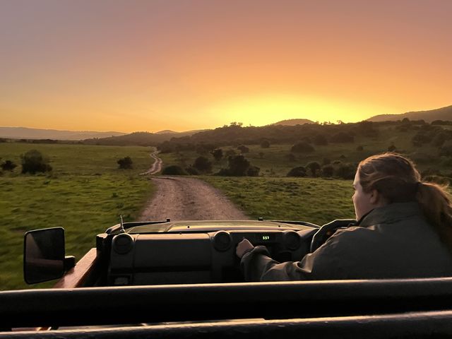 Op safari in het Kariega Game Reserve