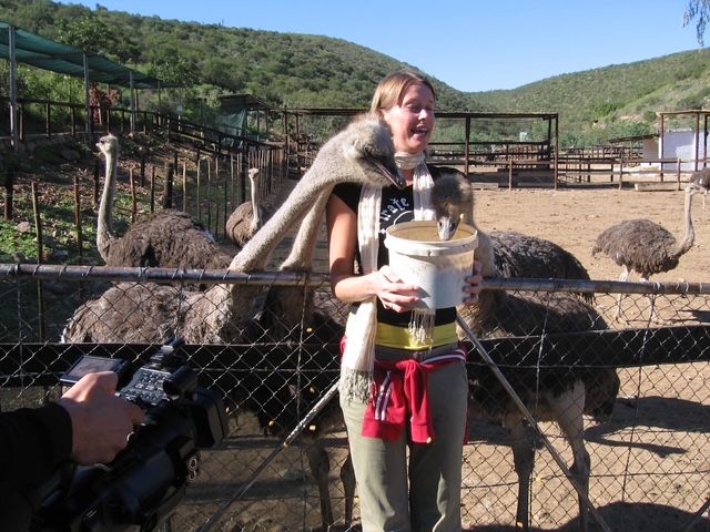 Oudtshoorn, Zuid-Afrika